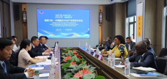 photo Transformation du bois : des industriels chinois intéressés à investir au Congo